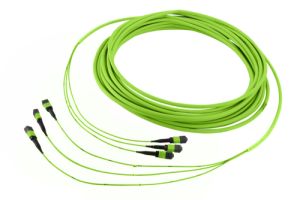 43M-50-08-M1-M1-007-0G-FFB-51_0