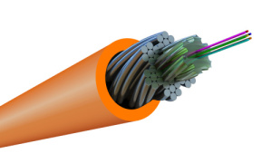 FO-AWS1-IN-50-4-LSZH-OR_0