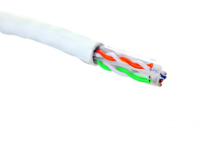 19C-U6-12WT-B305_0