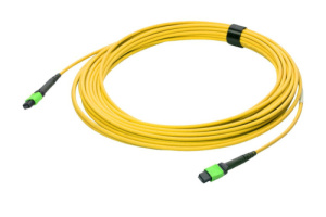 43M-S2-08-M8-M8-050-FFA-10_0