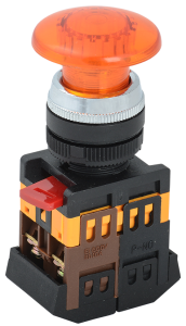 BBG20-AELA-K05_0