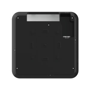 RG-AP820-L-EP_1