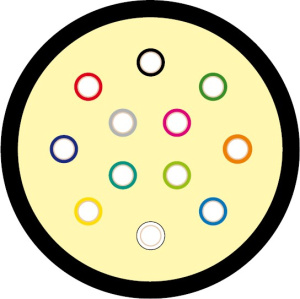 237686_1
