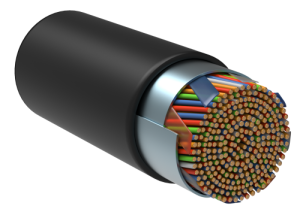 LC3-C5E25-339_0